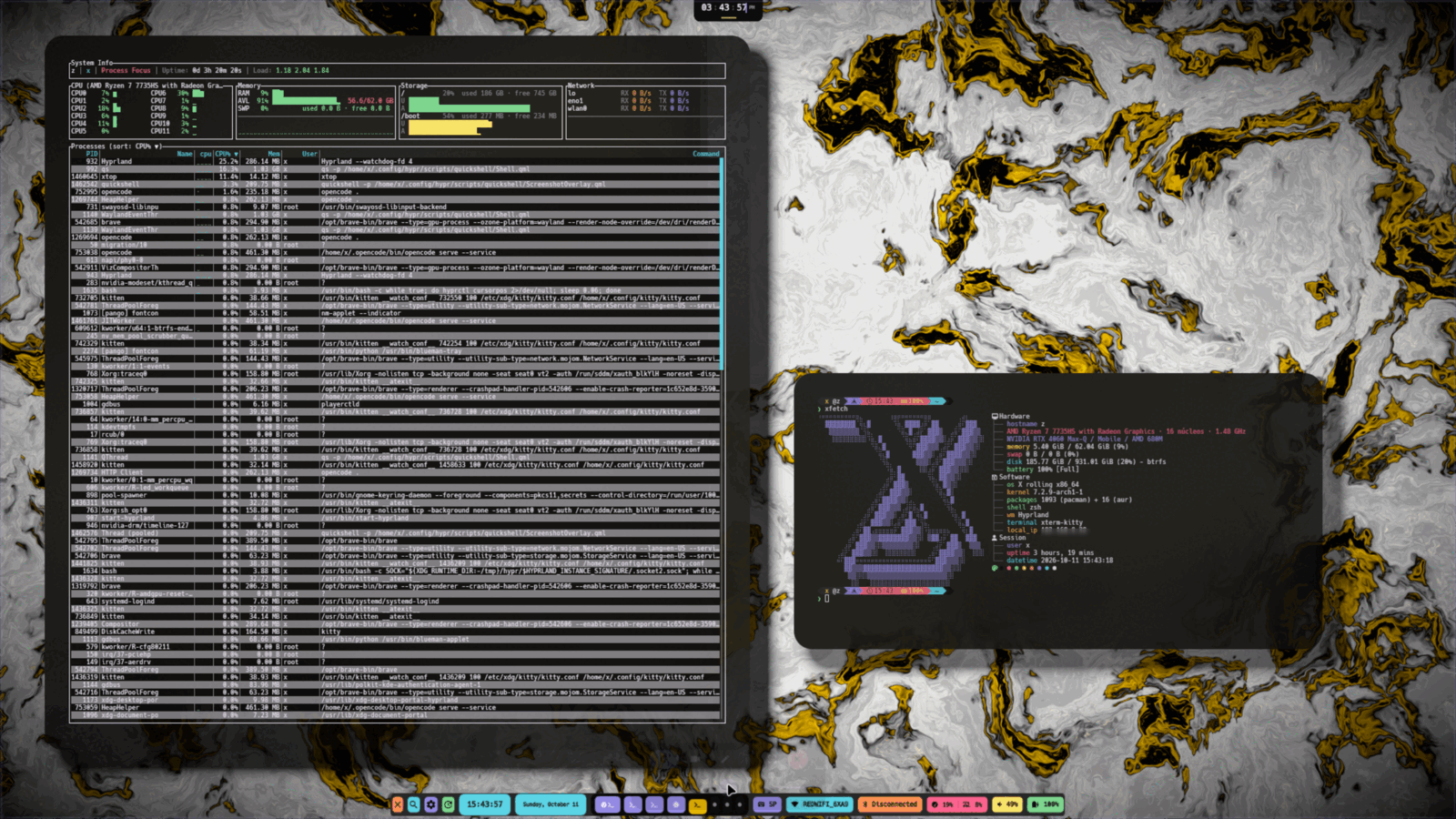 xtop and xfetch on the Hyprland desktop